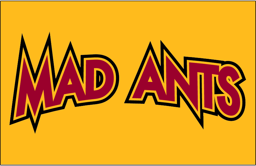 Fort Wayne Mad Ants 2006-2017 Jersey Logo v2 iron on transfers for T-shirts